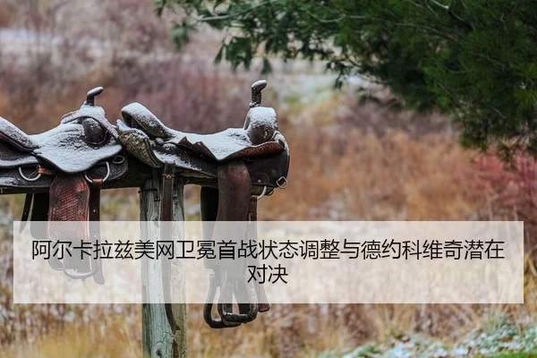 a-er-ka-la-zi-mei-wang-wei-mian-shou-zhan-zhuang-tai-tiao-zheng-yu-de-yue-ke-wei-qi-qian-zai-dui-jue-2-760.jpg