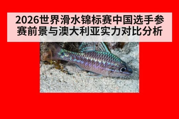 2026世界滑水锦标赛中国选手参赛前景与澳大利亚实力对比分析